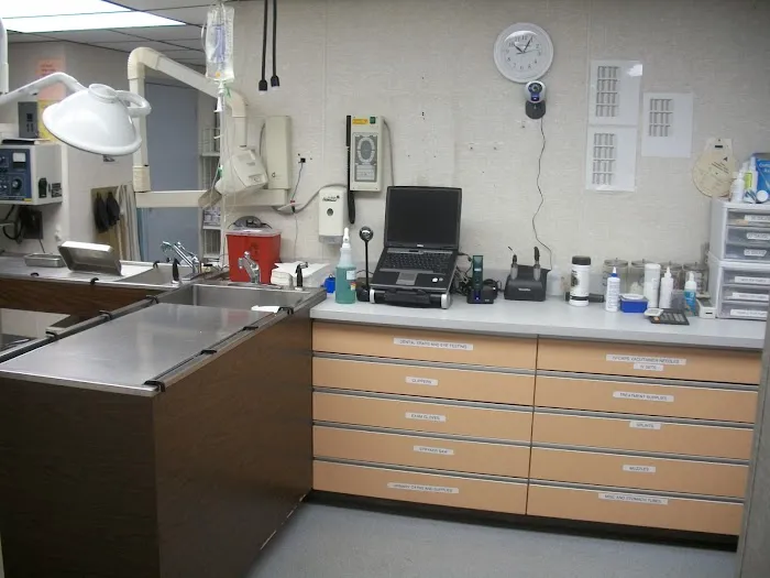 Sharp Animal Hospital Picture 7