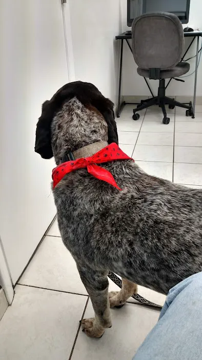 Sharp Animal Hospital Picture 9