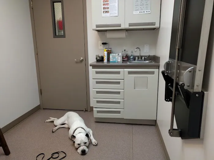 Berkley Animal Hospital Picture 6