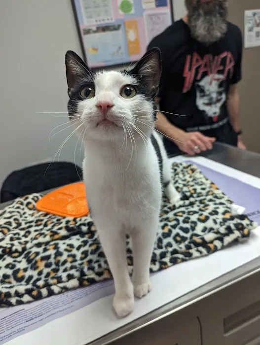 Berkley Animal Hospital Picture 7