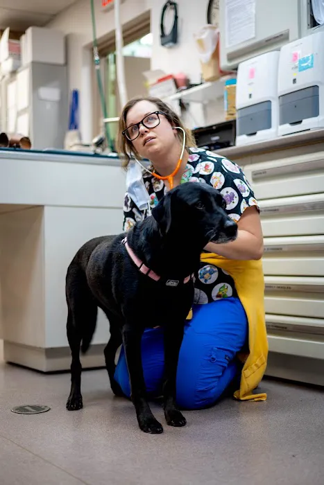 Berkley Animal Hospital Picture 9