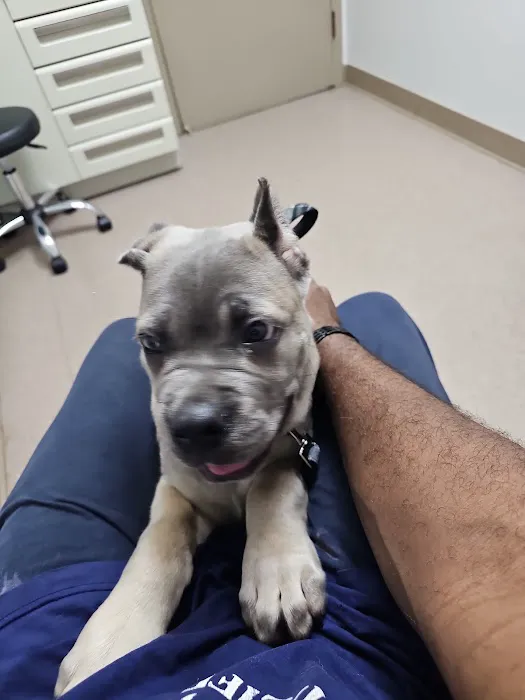 Berkley Animal Hospital Picture 8