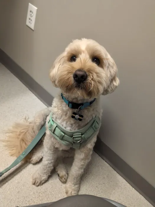 Hartrick Veterinary Clinic Picture 7