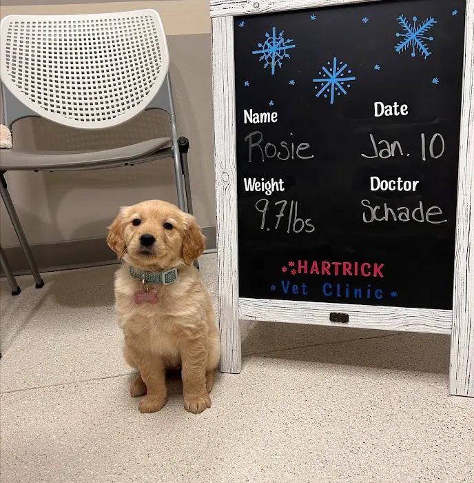 Hartrick Veterinary Clinic Picture 4