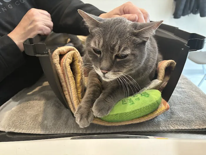 Hartrick Veterinary Clinic Picture 5