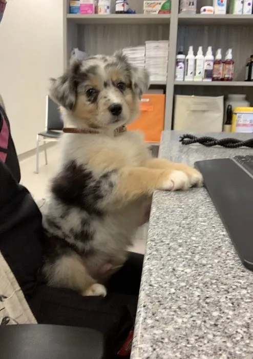Kimball Animal Hospital Picture 10