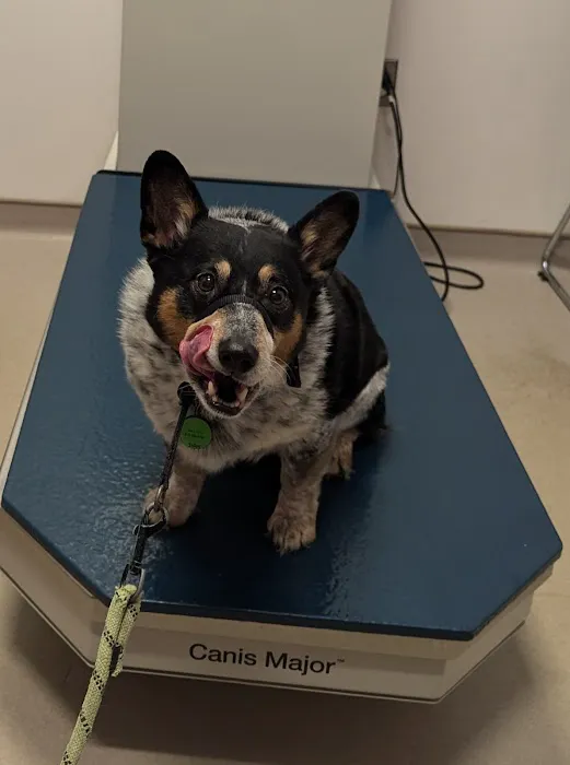 Kimball Animal Hospital Picture 9
