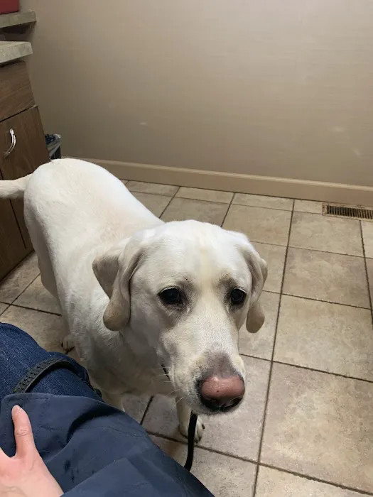 9 Tel Animal Hospital Picture 6