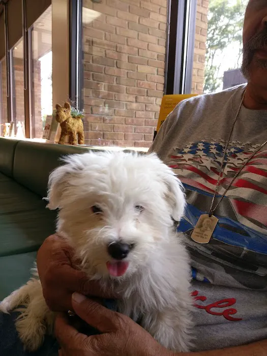 Greenfield Animal Hospital Picture 1