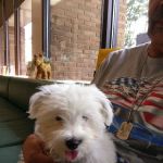 Greenfield Animal Hospital