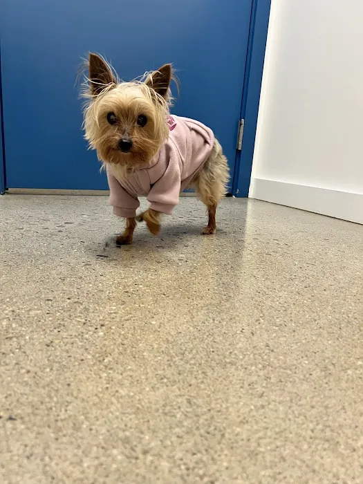 Burrwood Veterinary Picture 5