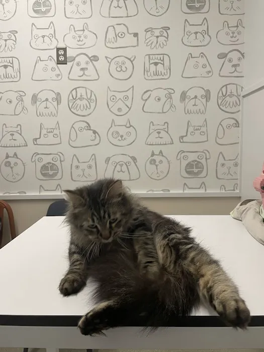 Burrwood Veterinary Picture 4