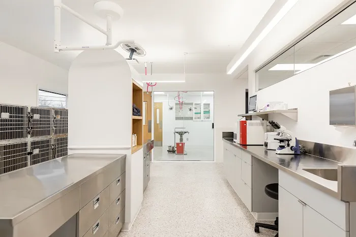 Burrwood Veterinary Picture 1