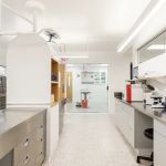 Burrwood Veterinary