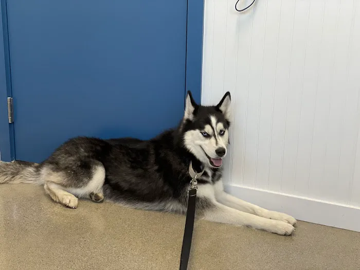 Burrwood Veterinary Picture 9