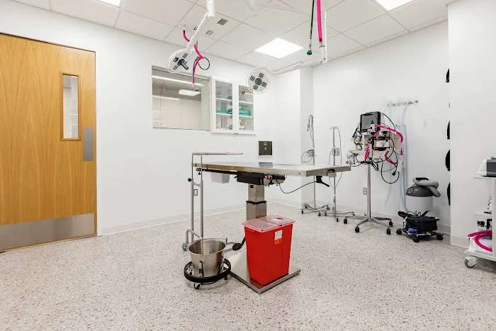 Burrwood Veterinary Picture 8