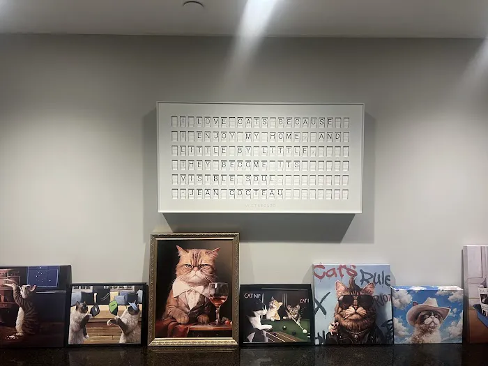 Pet Urgent Care Picture 5