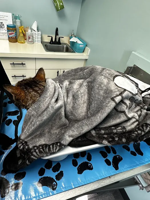 Hamilton Animal Hospital Picture 1