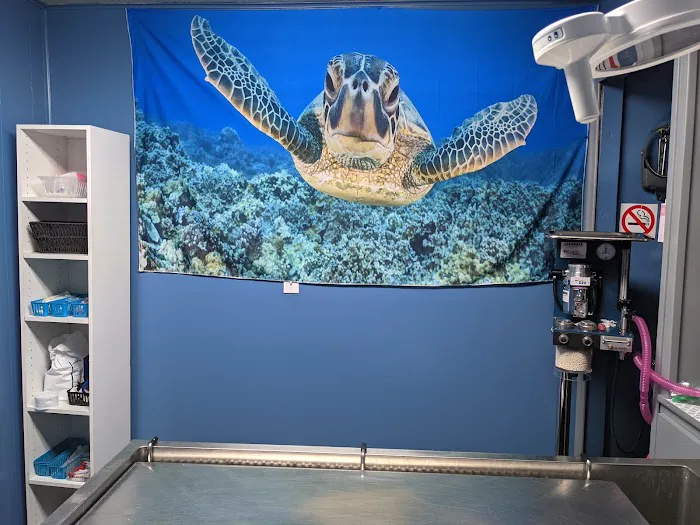 Hamilton Animal Hospital Picture 5
