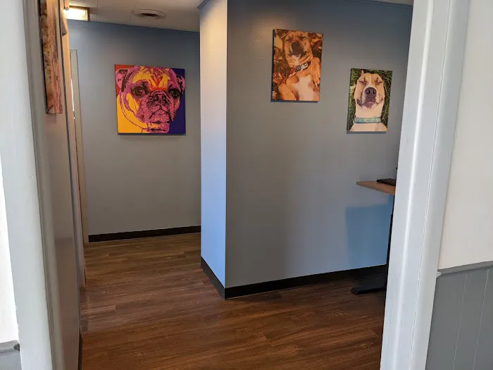 Hamilton Animal Hospital Picture 6