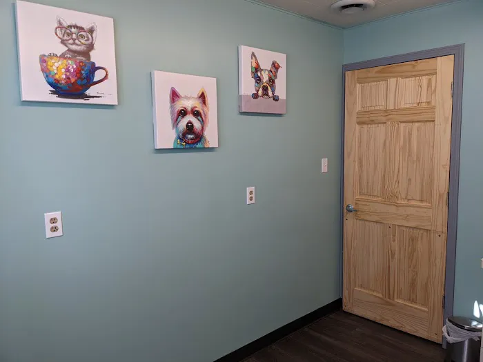 Hamilton Animal Hospital Picture 4