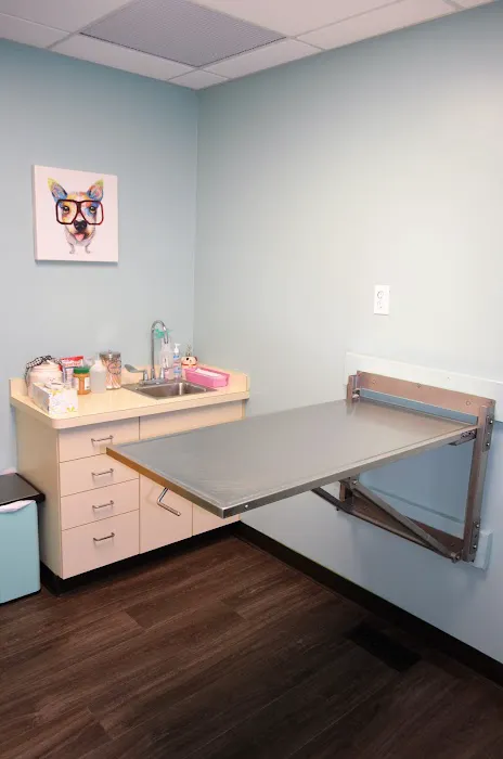 Hamilton Animal Hospital Picture 9