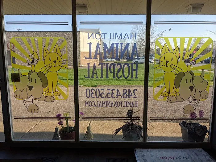 Hamilton Animal Hospital Picture 10