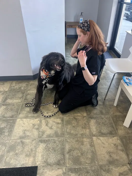 Animal Wellness Clinic of Troy Picture 4