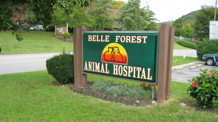 Belle Forest Animal Hospital Picture 3