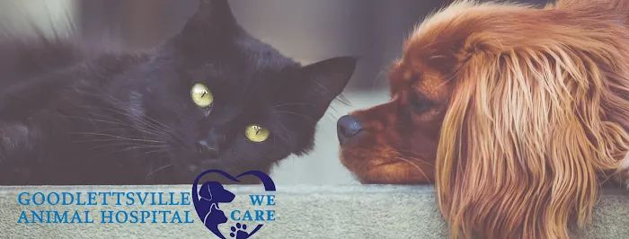 Goodlettsville Animal Hospital Picture 3