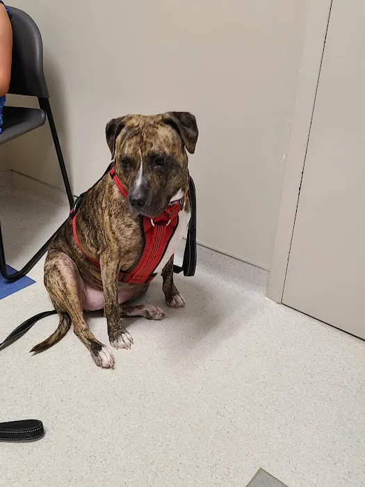Goodlettsville Animal Hospital Picture 6