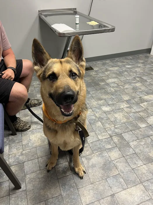 Root Animal Clinic Picture 6