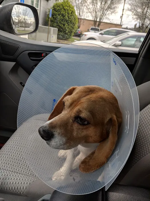 Root Animal Clinic Picture 8