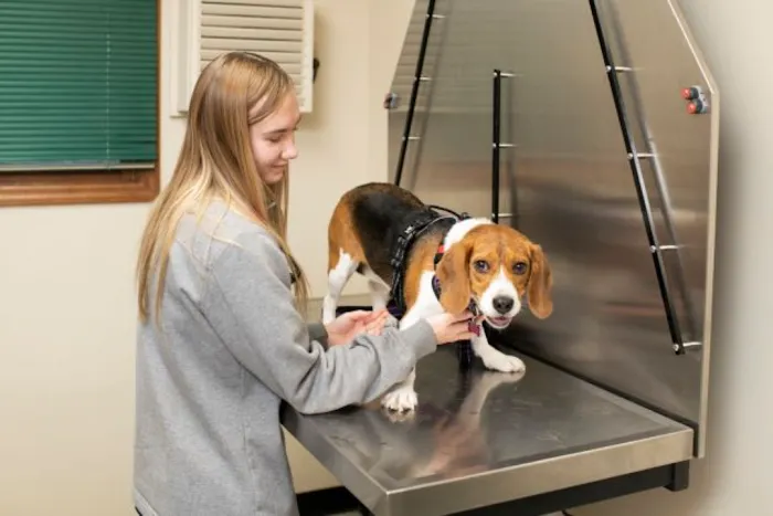 North Nashville Animal Hospital Picture 3