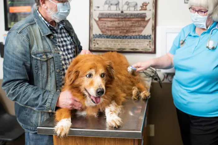 North Nashville Animal Hospital Picture 4