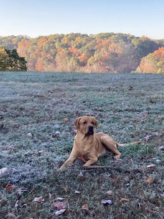 North Nashville Animal Hospital Picture 7