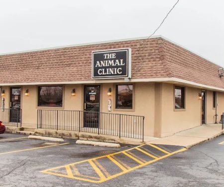 The Animal Clinic