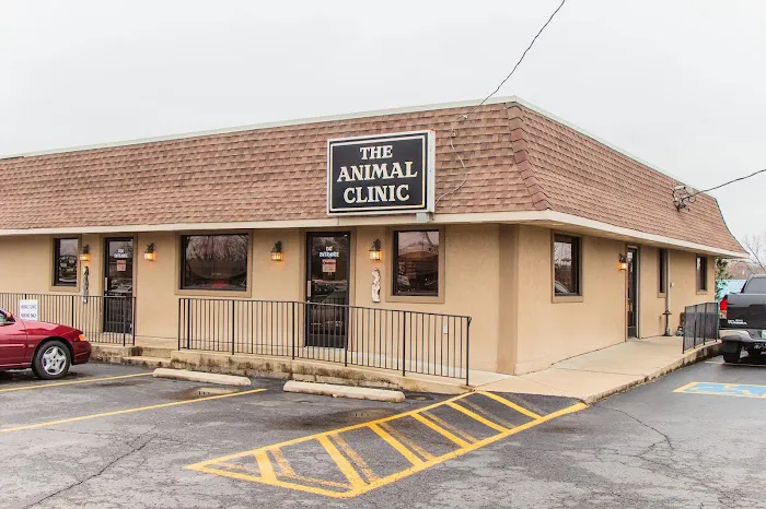 The Animal Clinic Picture 3