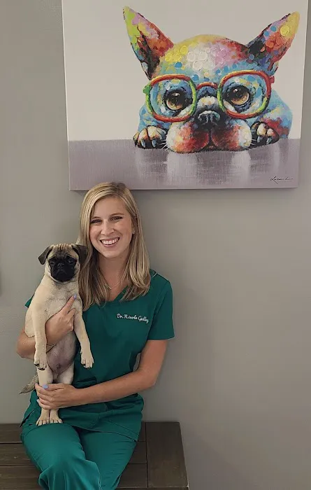 The Animal Clinic Picture 5