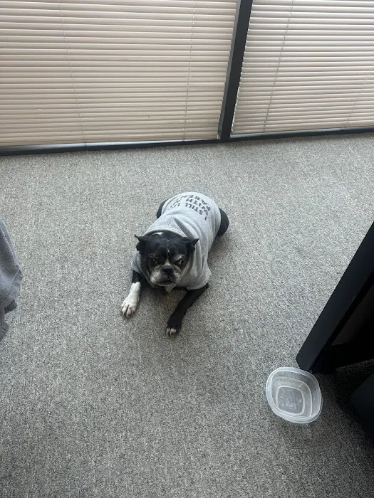 The Animal Clinic Picture 4