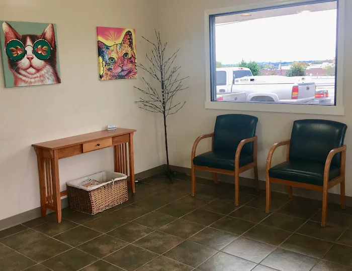 The Animal Clinic Picture 8
