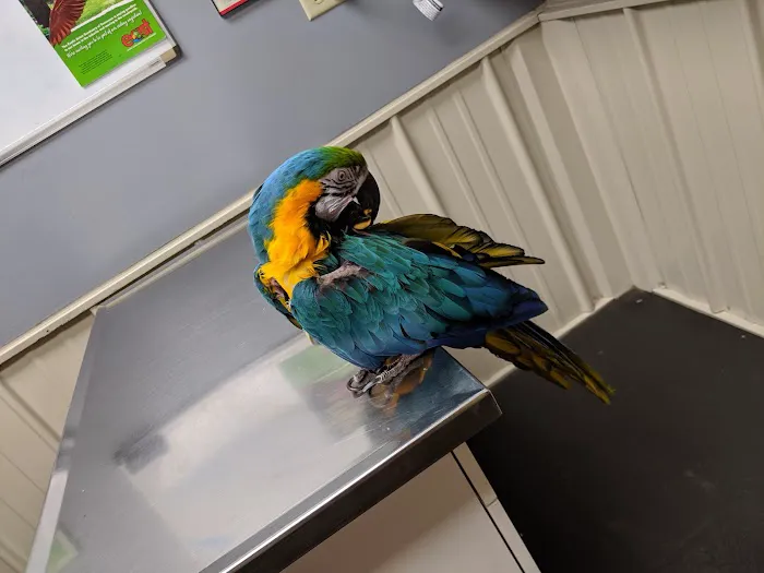 Volunteer Veterinary Clinic Inc Picture 2
