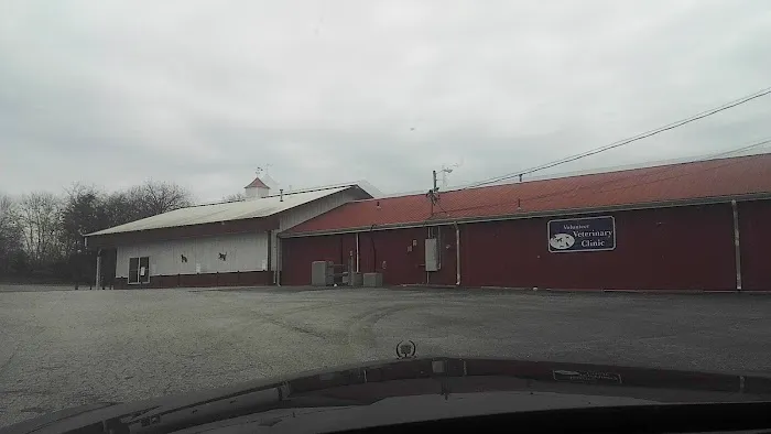 Volunteer Veterinary Clinic Inc Picture 10