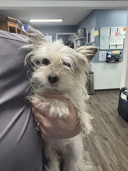 Animal House Veterinary Clinic Picture 1