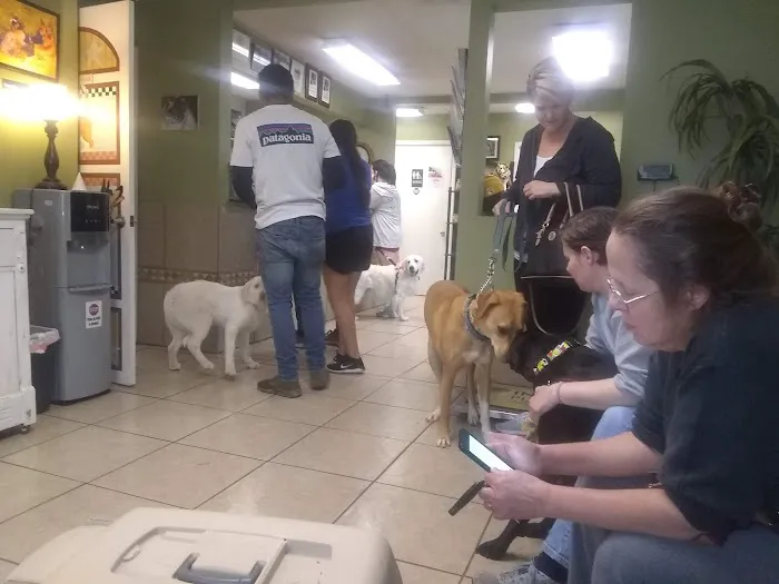Animal House Veterinary Clinic Picture 6