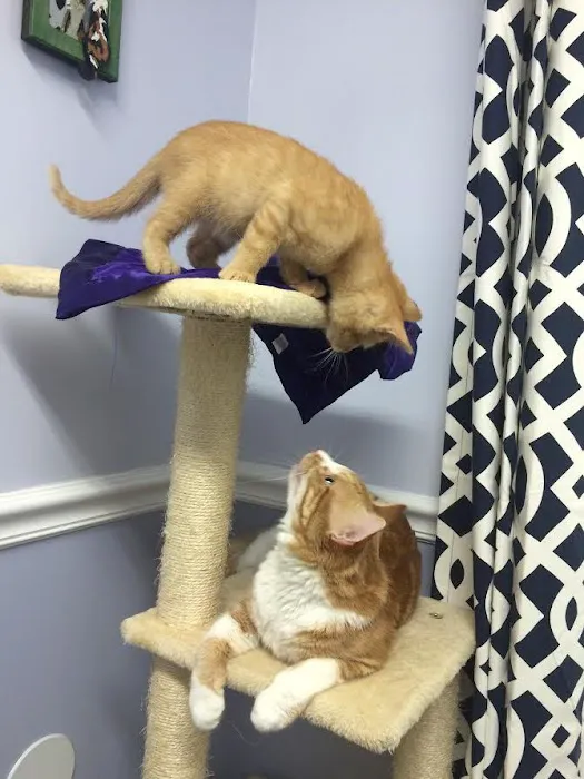 Heart + Paw Picture 10