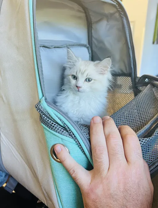 Banfield Pet Hospital Picture 9