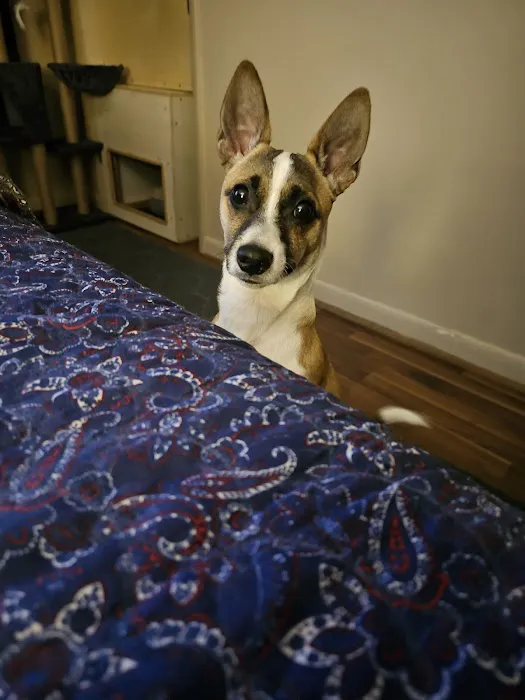 Banfield Pet Hospital Picture 8