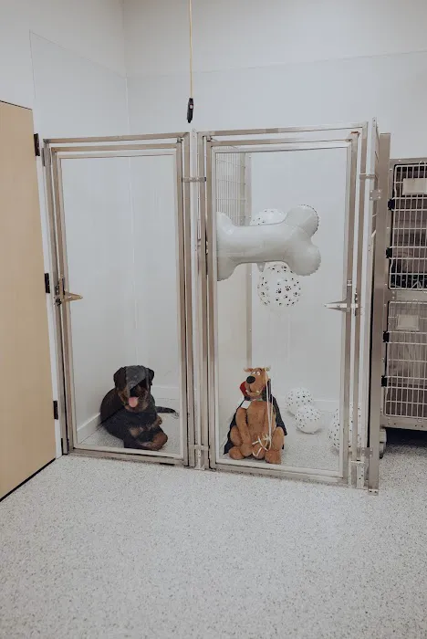 PriorityPet Urgent Care Picture 3