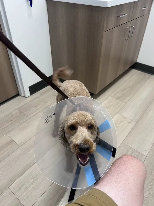 PriorityPet Urgent Care Picture 9